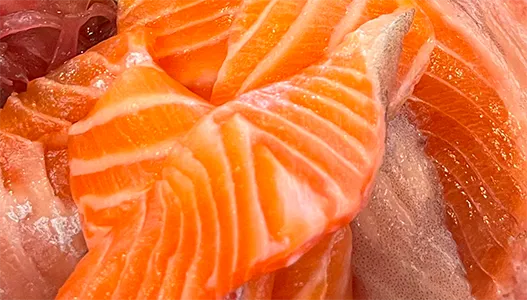 お刺身のアップ